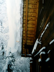 Schnee 1991